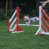 agility 2011-09